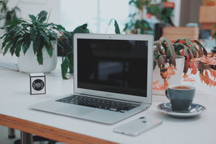 現(xiàn)代辦公環(huán)境中的軟硬件融合與知識(shí)共享